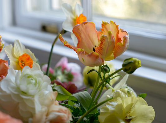 Floral Photography - a daily practice