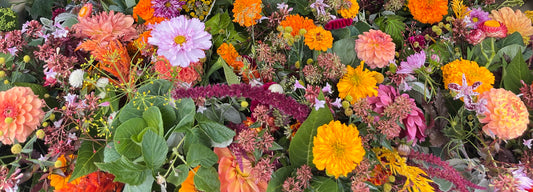 Try a Floral Mindfulness Practice