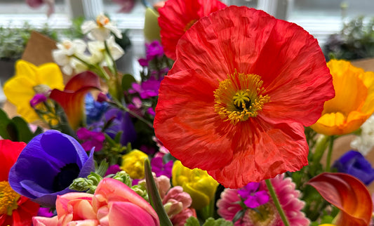 Your Floral Cheat Sheet for Gratitude Season