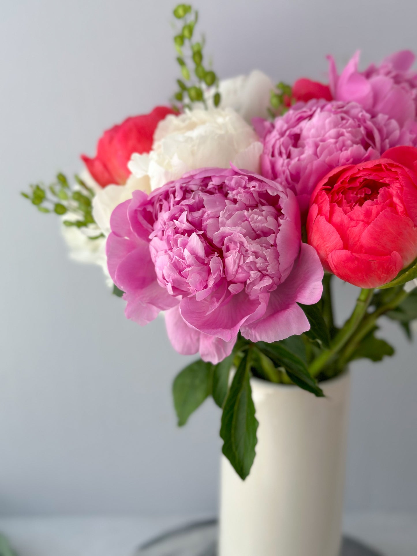 Peonies Please