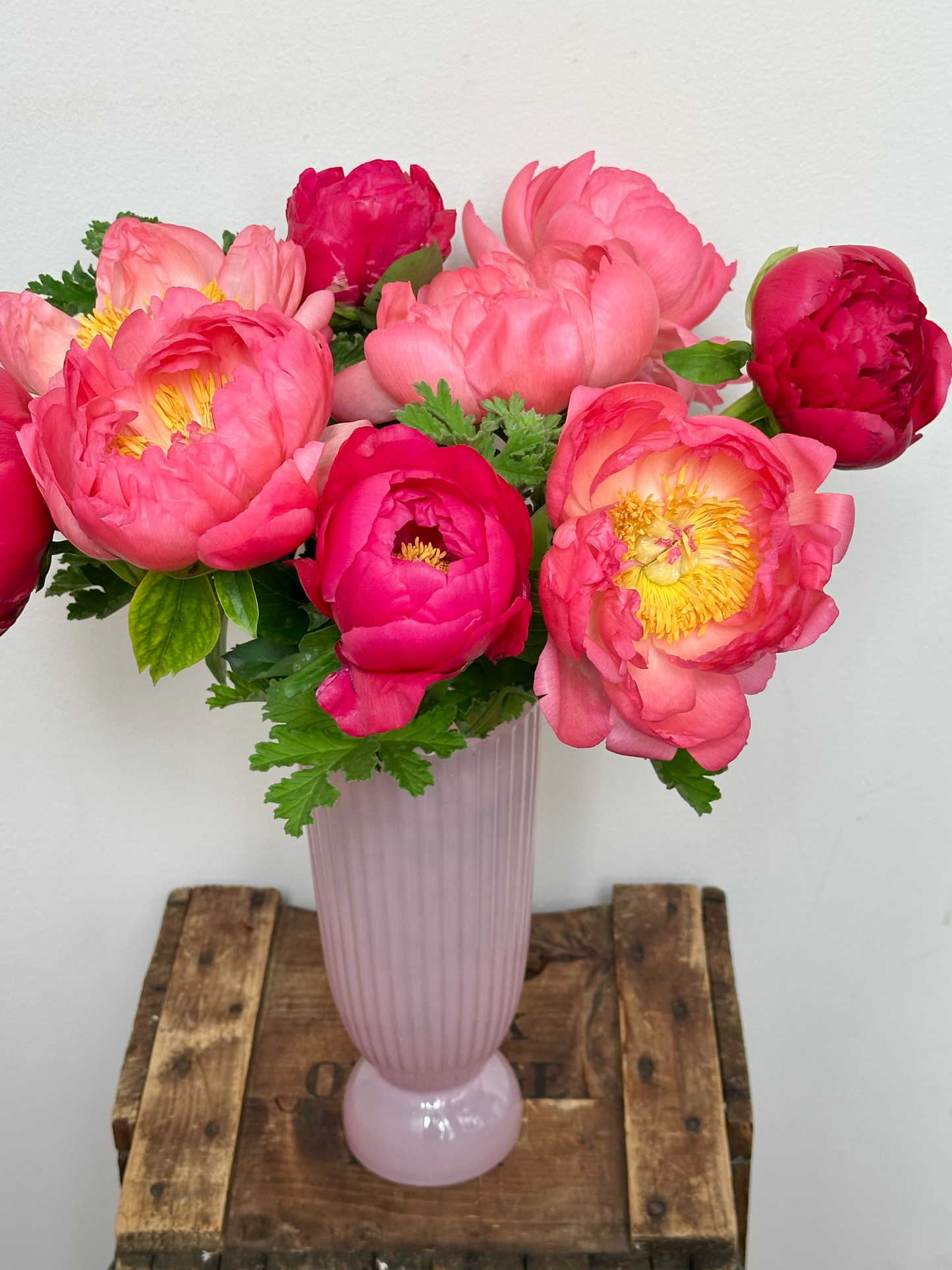 Peonies Please