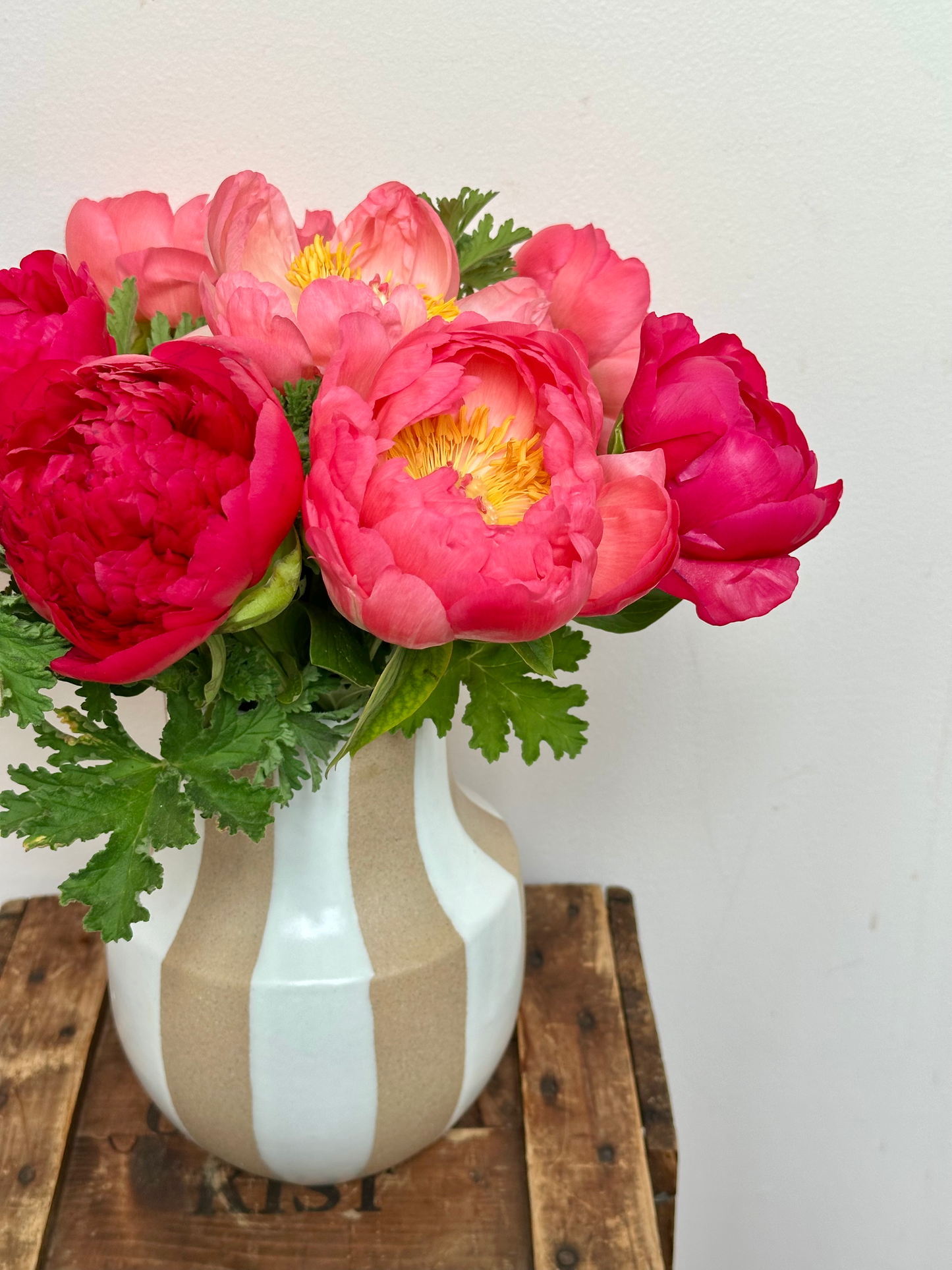Peonies Please