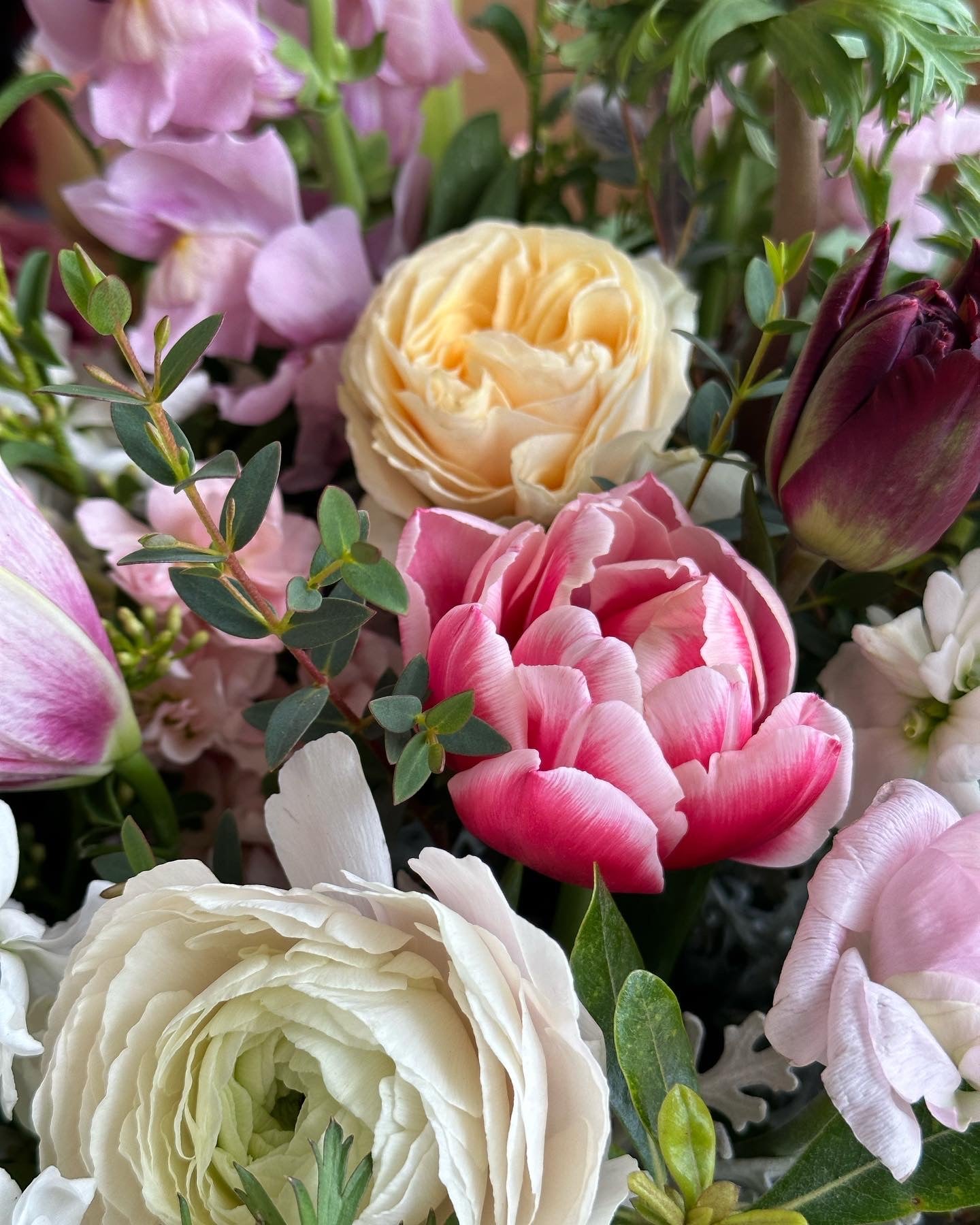The Beloved: Premium Blooms