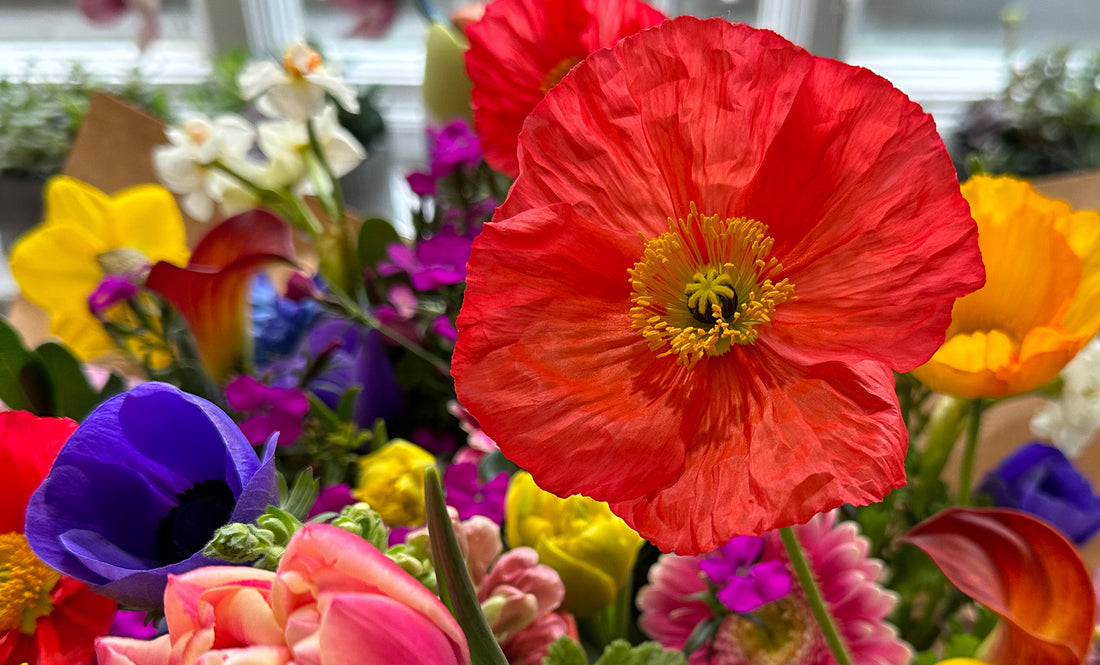 Your Floral Cheat Sheet for Gratitude Season