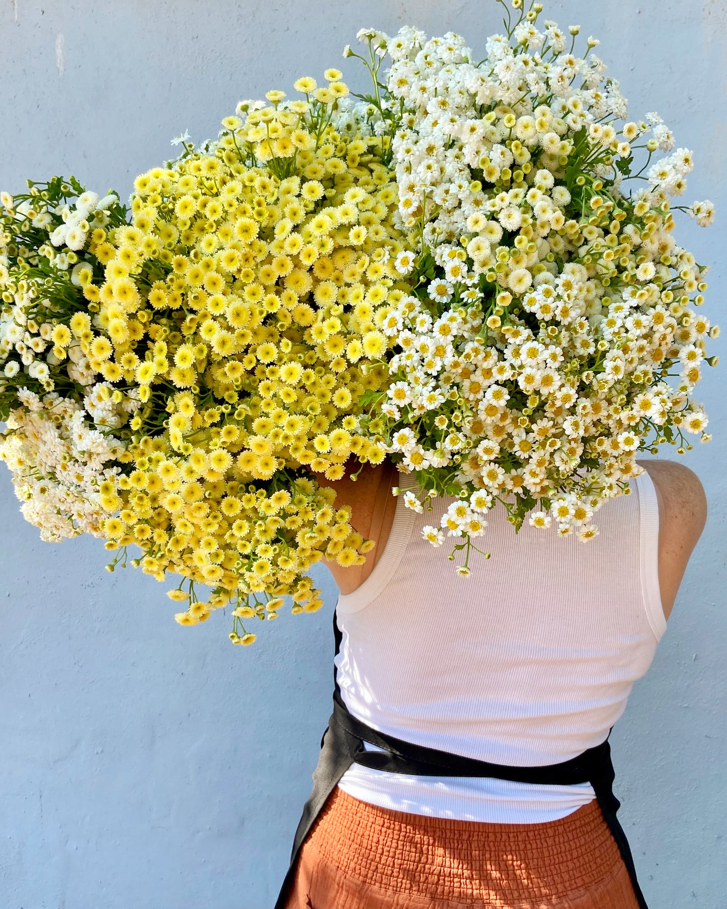 Flower of the Month Club