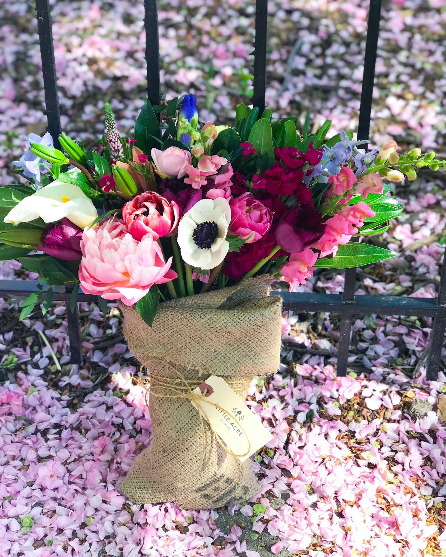 Daily Hand-Tied Bouquet