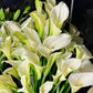 Flower of the Month Club