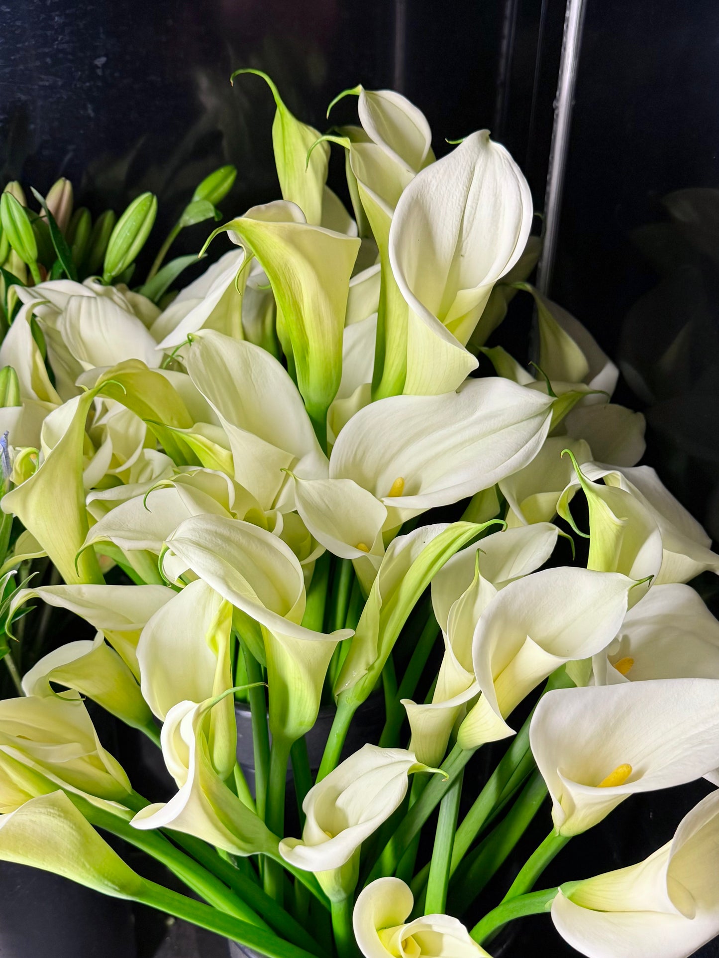 Flower of the Month Club