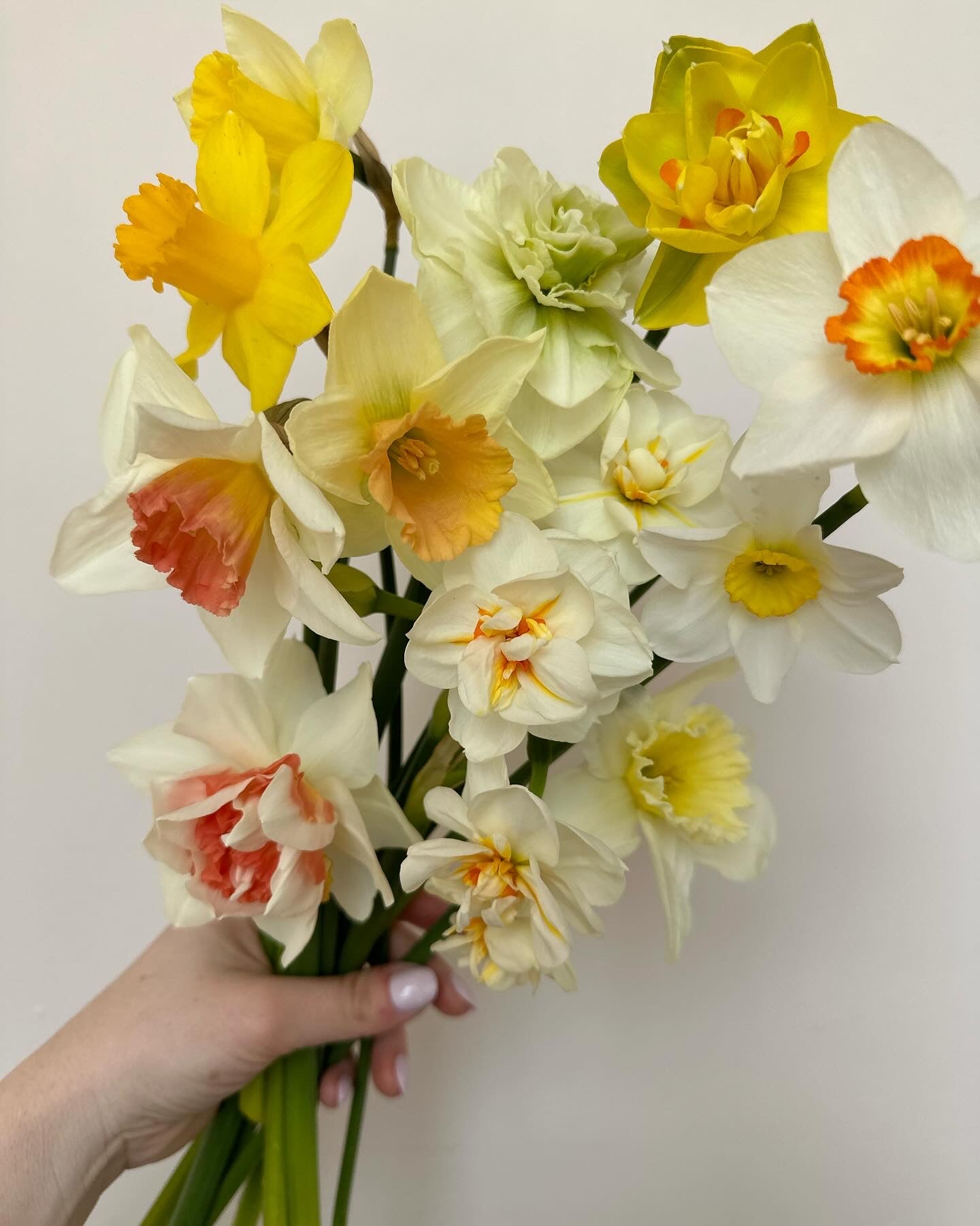 Flower of the Month Club