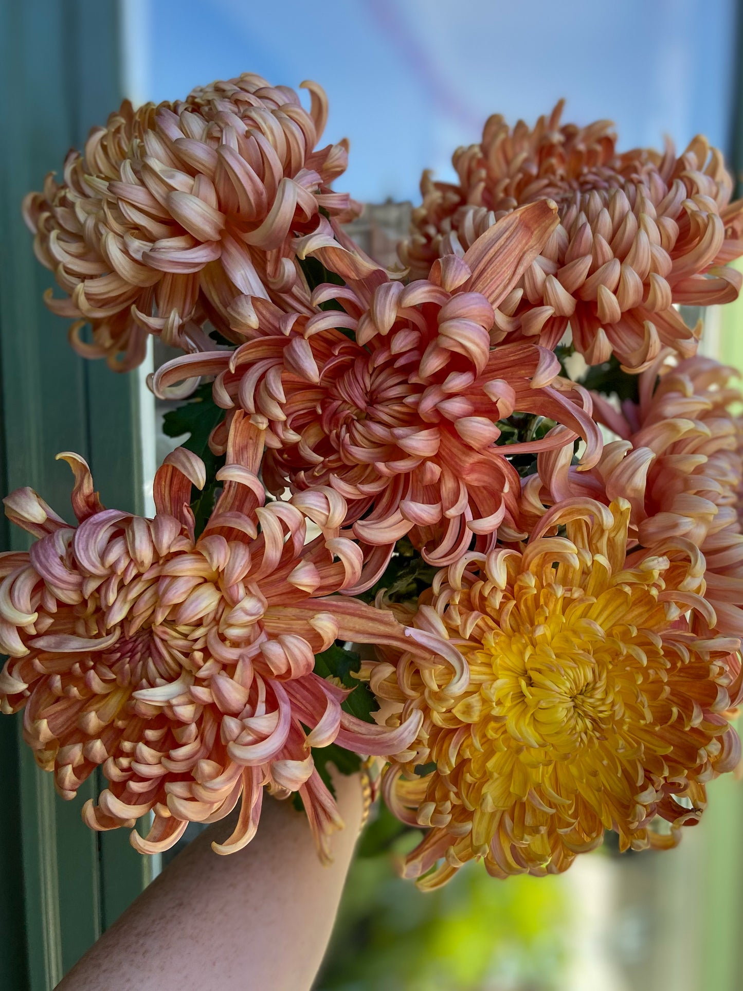 Flower of the Month Club