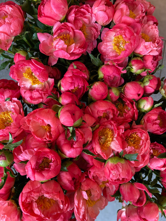 Flower of the Month Club