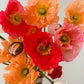 Flower of the Month Club