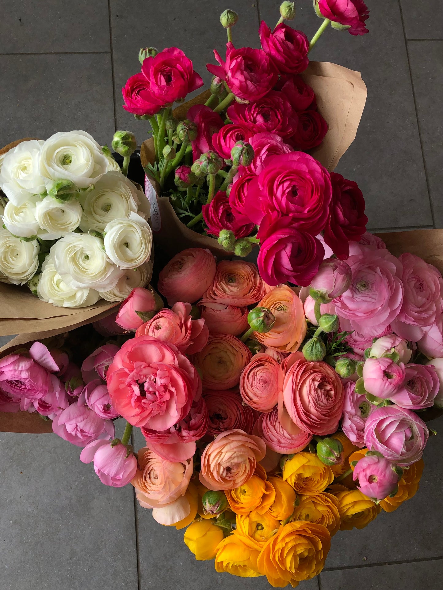 Flower of the Month Club