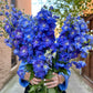 Flower of the Month Club