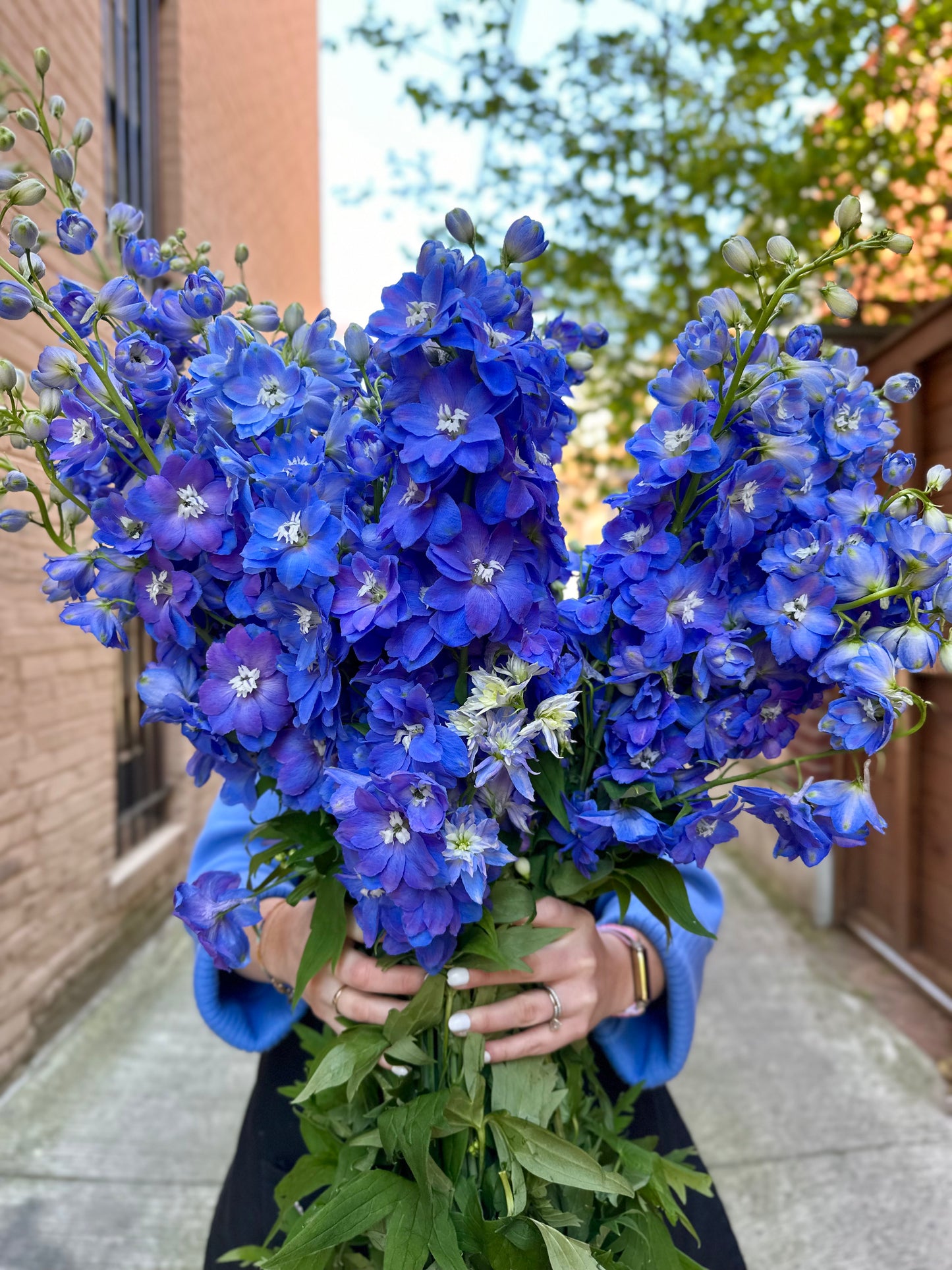 Flower of the Month Club