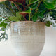 Bronze Pot
