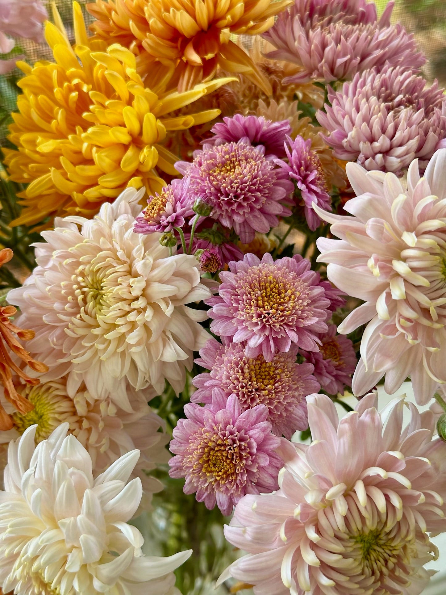 The Mum Mix