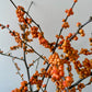 Autumn Berry Vase