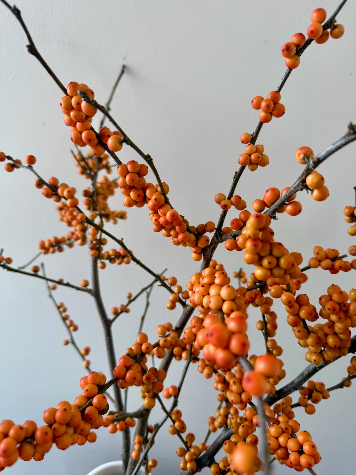 Autumn Berry Vase