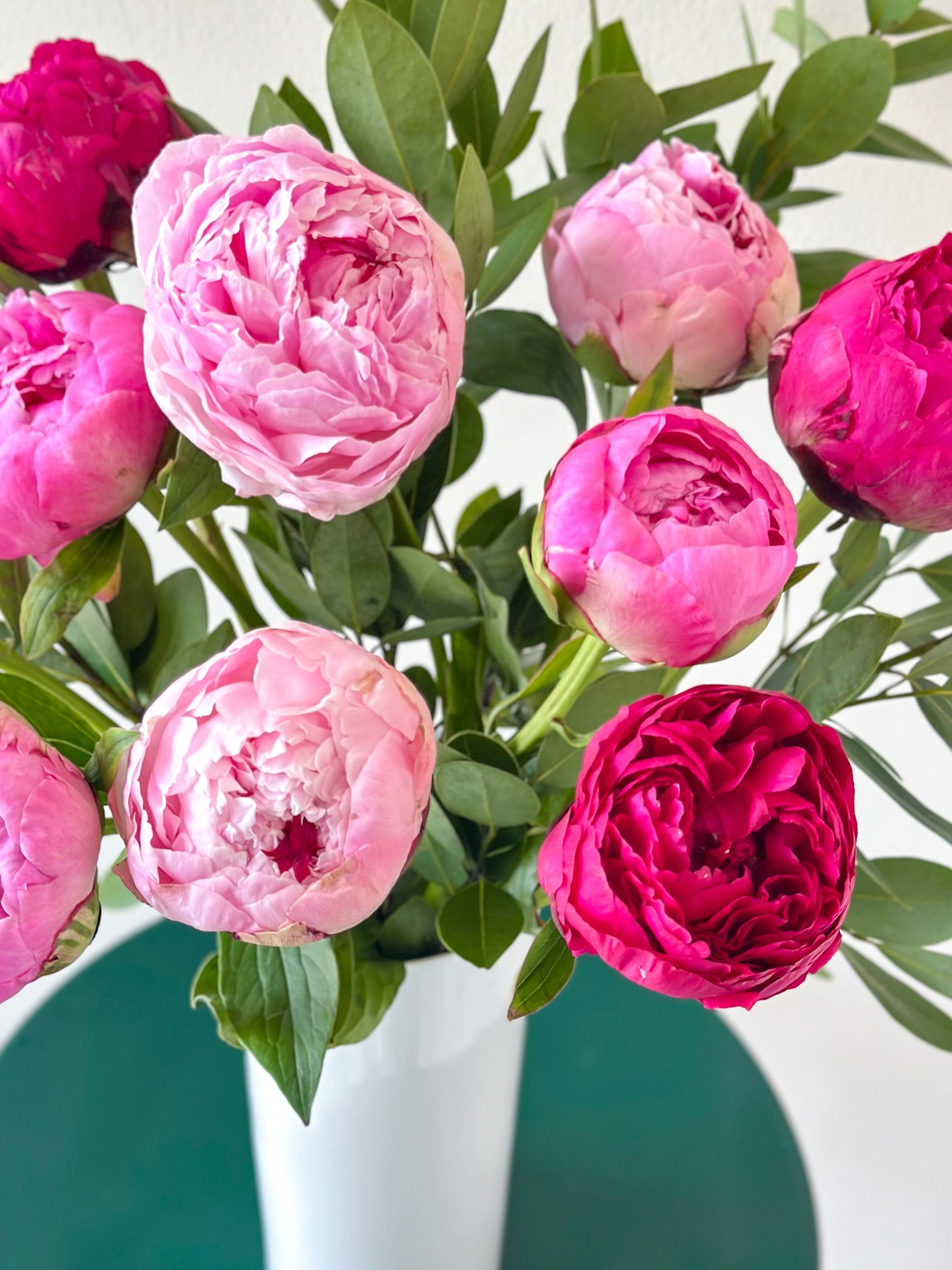 Peonies Please