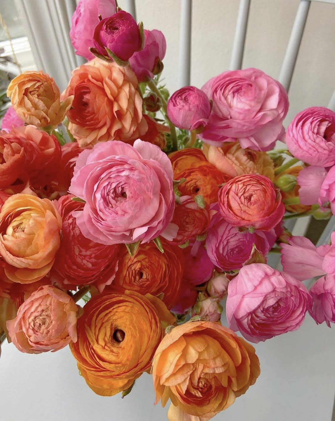 About Us Little Acre Flowers