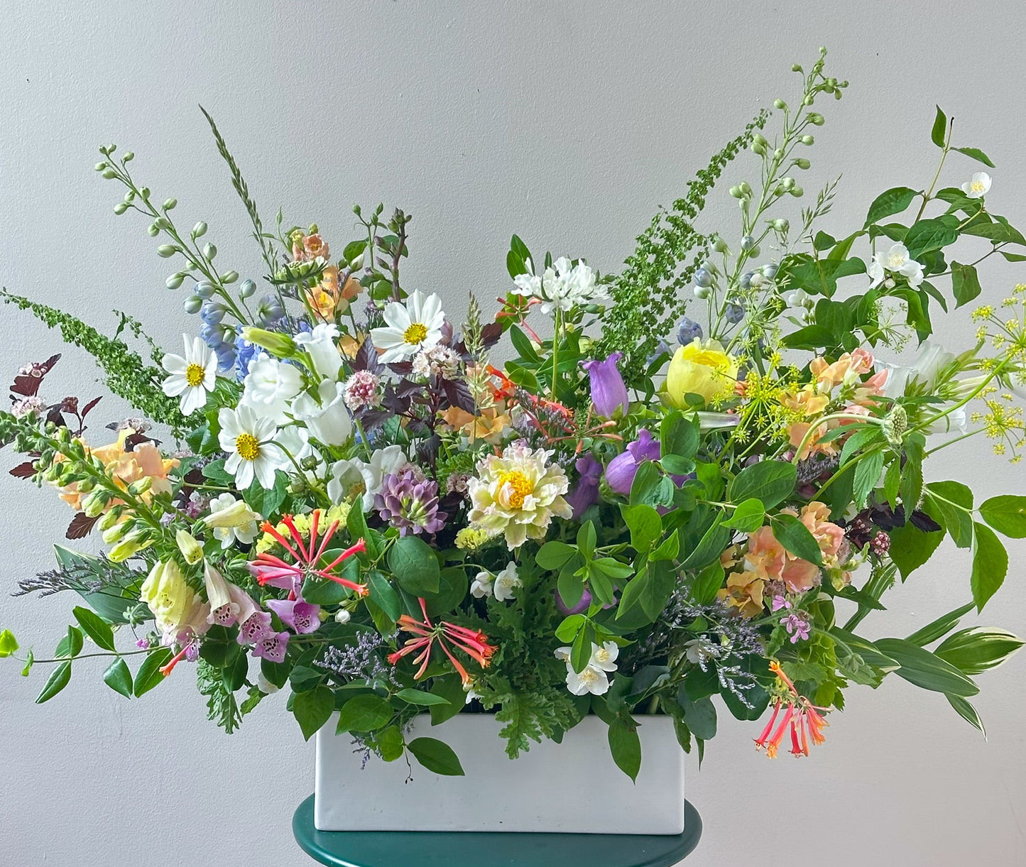Ground Garden