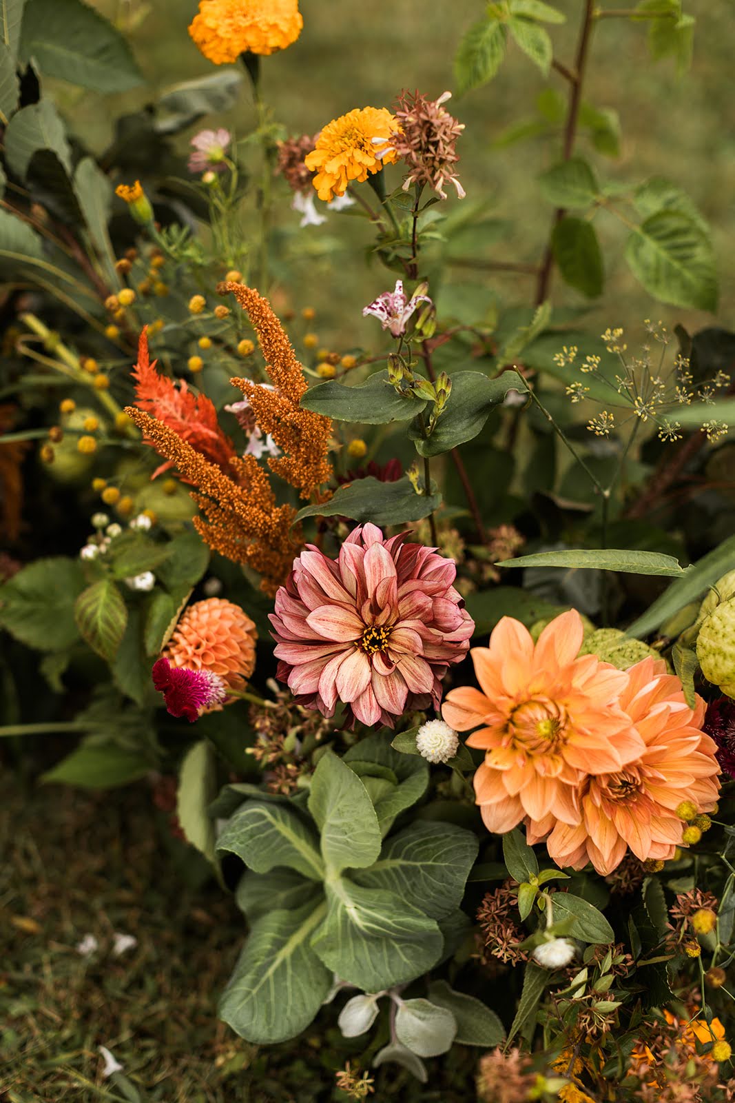 Ground Garden