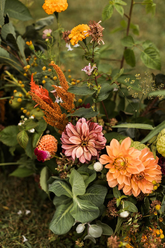 Ground Garden
