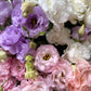 Lisianthus Dreams