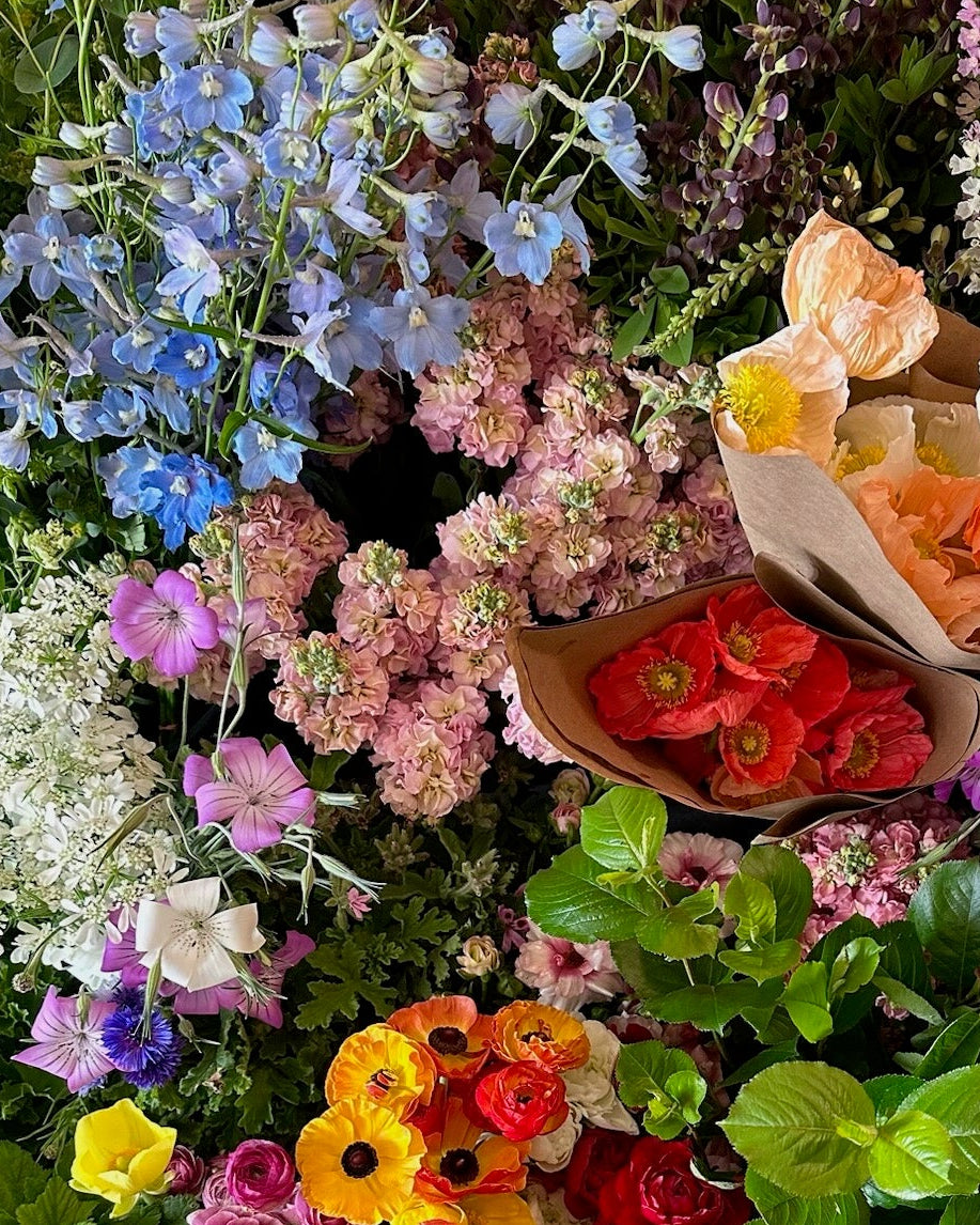 Bucket of Blooms