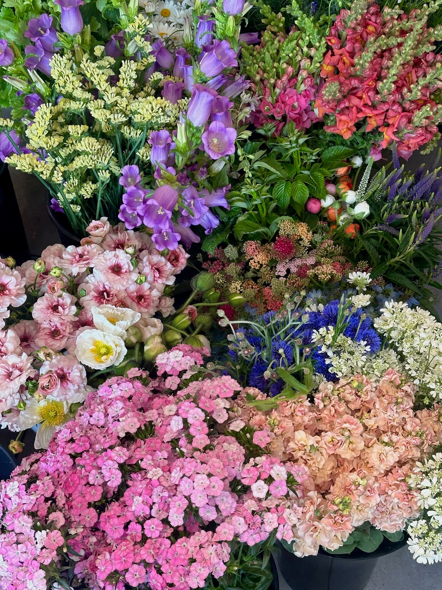Bucket of Blooms