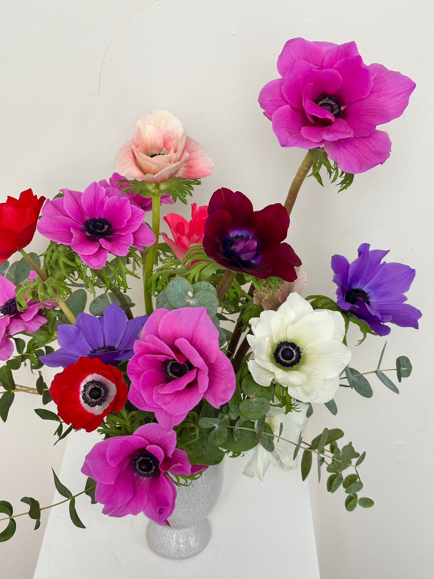The New Romantic: Local Anemones