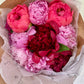 Bundle of Peonies