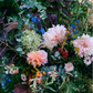 Ground Garden