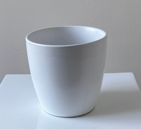 White Ceramic Pot