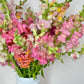 Bunches o' Snaps