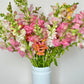 Bunches o' Snaps