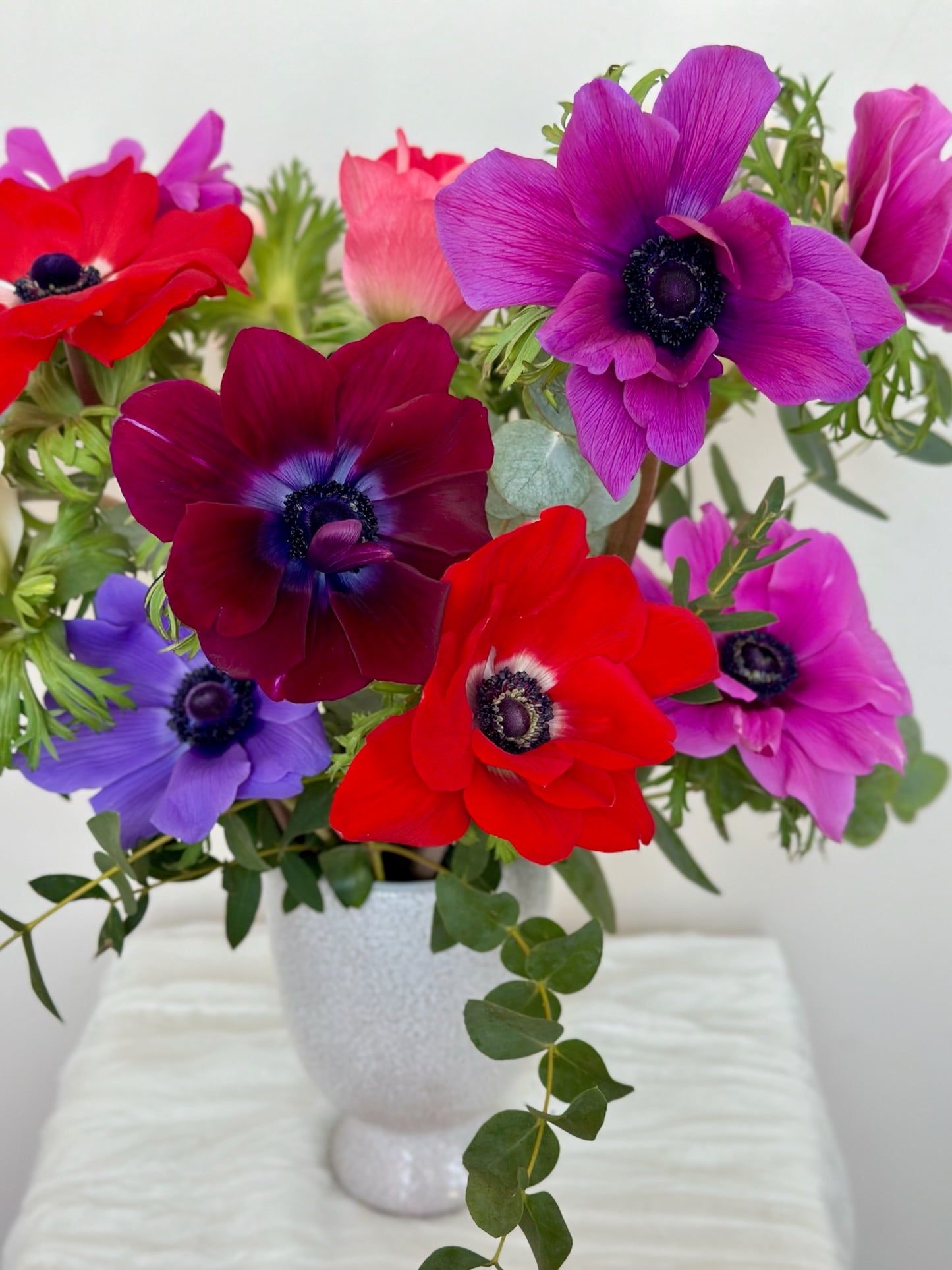 The New Romantic: Local Anemones
