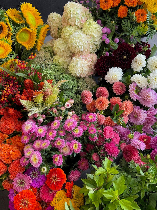 Bucket of Blooms