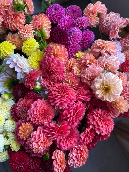 Designing with Dahlias - September Floral Design Workshop