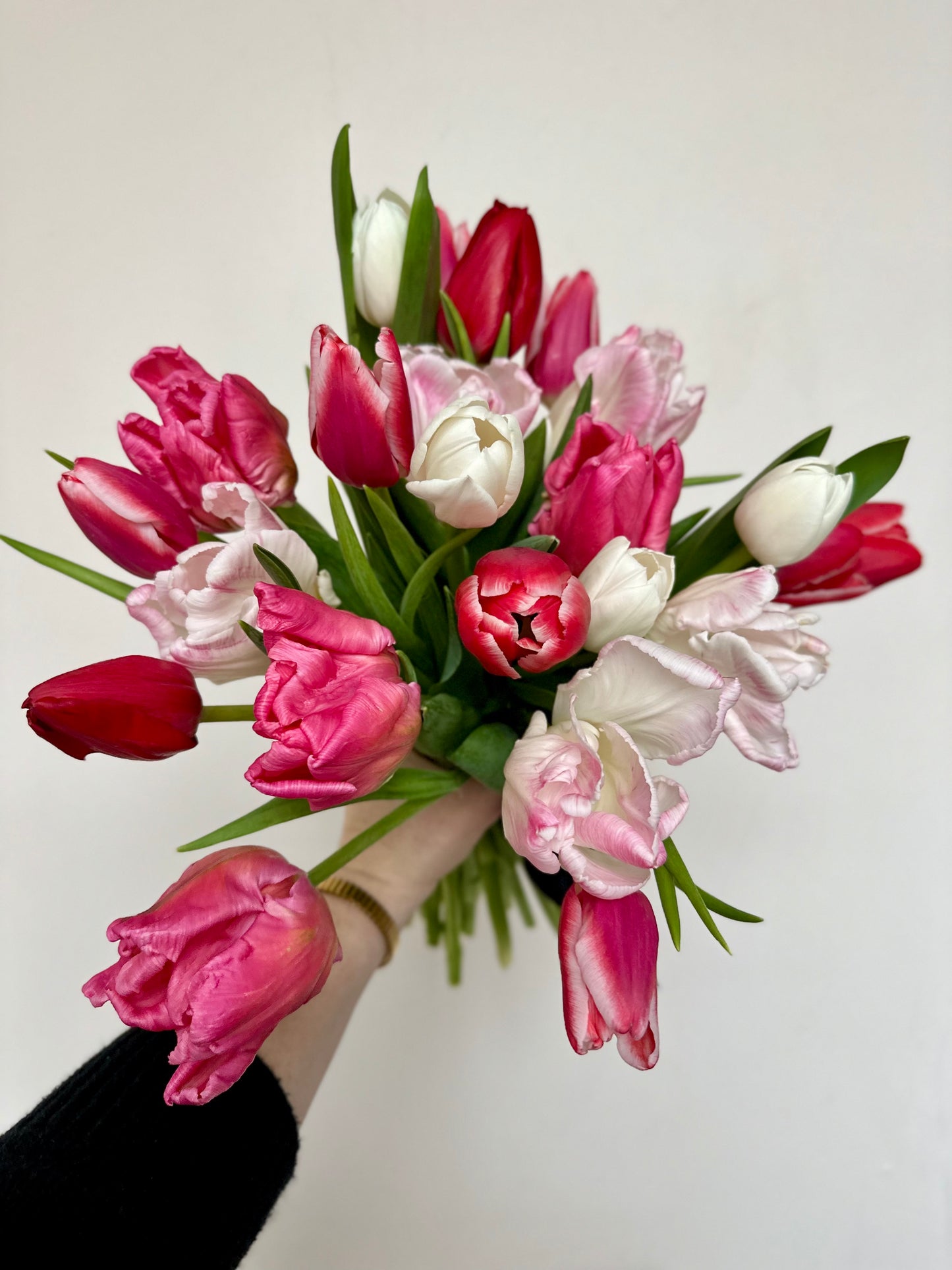 The Darling: Local Specialty Tulips