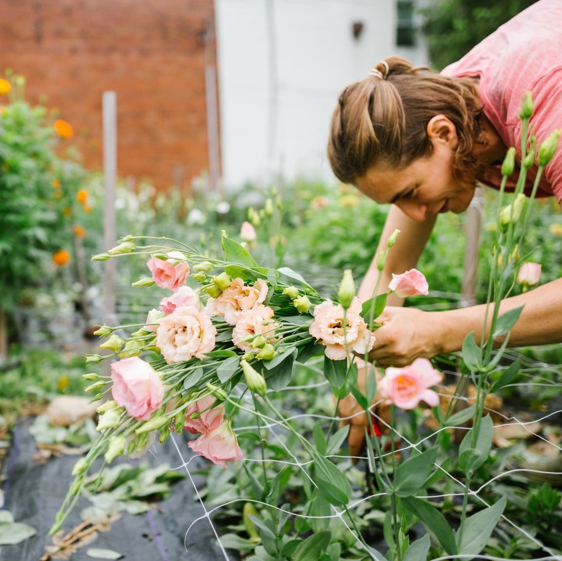 Sustainability Little Acre Flowers