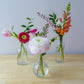 Bud Vases filled