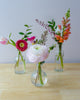 Styled Bud Vase Collection